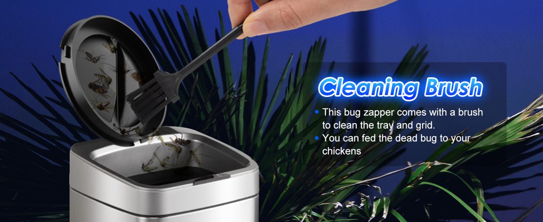 GOOTOP Zap T6 Pro: A brush rides along in the box